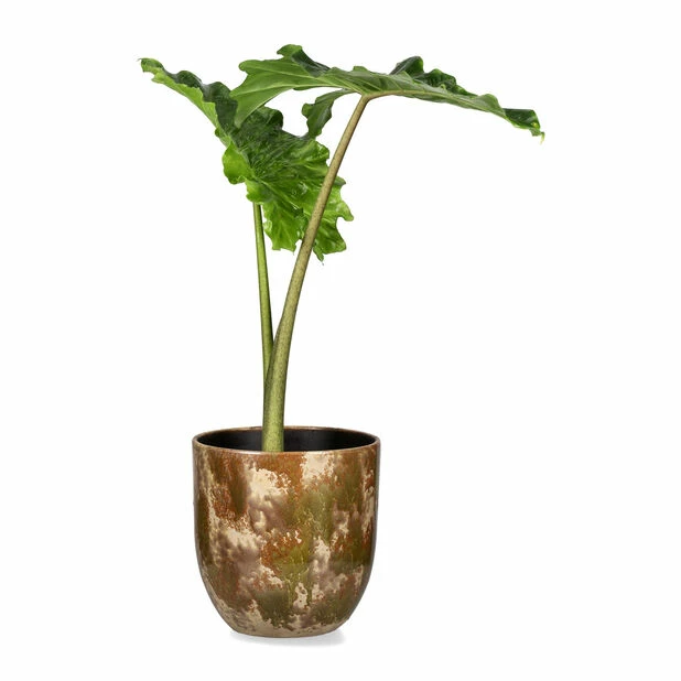 Potte Aurelia - Ø27 Cm, Beige 2 Potte Aurelia - Ø27 Cm, Beige - Bilde 2