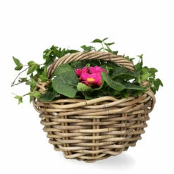 Kurv Evie - Lengde 30 Cm, Beige -Potteplante Salgsbutikk FW Evie basket 30 24cm natural 545429 3