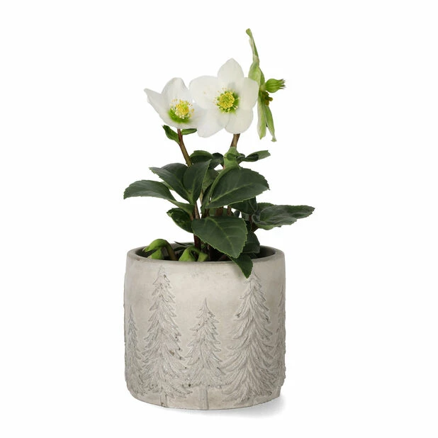 Potte Maella - Ø11 Cm, Grå 2 Potte Maella - Ø11 Cm, Grå - Bilde 2