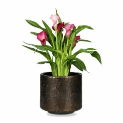 Potte Kara - Ø17 Cm, Kobber -Potteplante Salgsbutikk FW Kara pot D17 bronze 542714 2