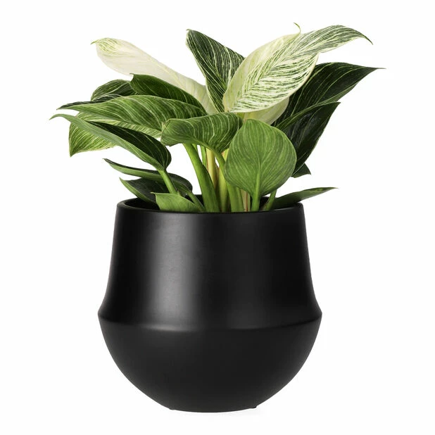 Potte Fusion - Ø17 Cm, Svart 2 Potte Fusion - Ø17 Cm, Svart - Bilde 2