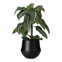 Potte Fusion - Ø17 Cm, Svart 6 Potte Fusion - Ø17 Cm, Svart -Potteplante Salgsbutikk Fusion pot D17 black 538122 3