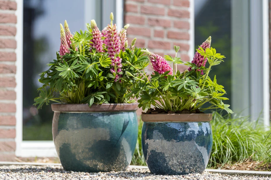 Potte Hayden - Ø28 Cm, Grønn 3 Potte Hayden - Ø28 Cm, Grønn - Bilde 3