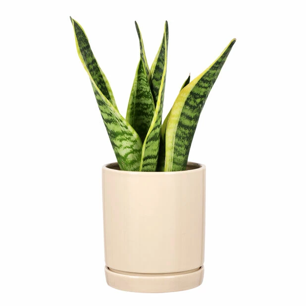 Potte Ina - Ø13 Cm, Beige 4 Potte Ina - Ø13 Cm, Beige - Bilde 4