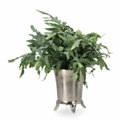 Potte Lulu - Ø20 Cm, Sølv -Potteplante Salgsbutikk Lulu pot D20 silver 542414 3