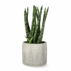 Potte Maella - Ø11 Cm, Grå 7 Potte Maella - Ø11 Cm, Grå -Potteplante Salgsbutikk Maella pot D11 grey 542456 2