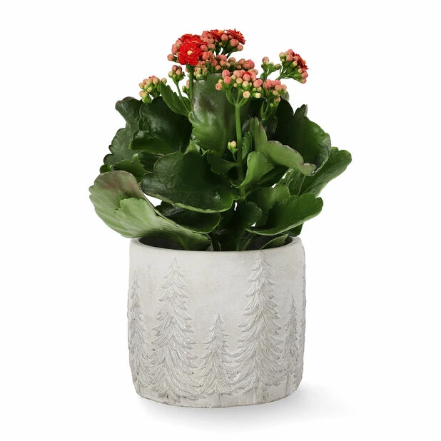 Potte Maella - Ø13 Cm, Grå 2 Potte Maella - Ø13 Cm, Grå - Bilde 2