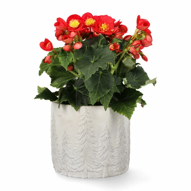 Potte Maella - Ø14 Cm, Grå 2 Potte Maella - Ø14 Cm, Grå - Bilde 2