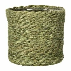 Potteplante Salgsbutikk 17 Potte Naledi - Ø11,5 Cm, Grønn