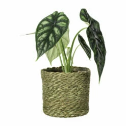Potteplante Salgsbutikk -Potteplante Salgsbutikk Naledi pot D115 green 542451 2