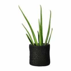 Potte Naledi - Ø16 Cm, Svart -Potteplante Salgsbutikk Naledi pot D16 black 542438 2