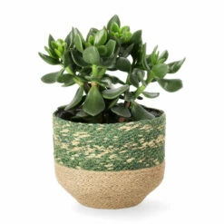 Kurv Tees - Ø17 Cm, Flerfarget -Potteplante Salgsbutikk Tees pot D17 blue 545407 2