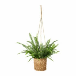 Ampel Wren - Ø17 Cm, Brun 5 Ampel Wren - Ø17 Cm, Brun -Potteplante Salgsbutikk Wren hanging pot D17 brown 545404 2