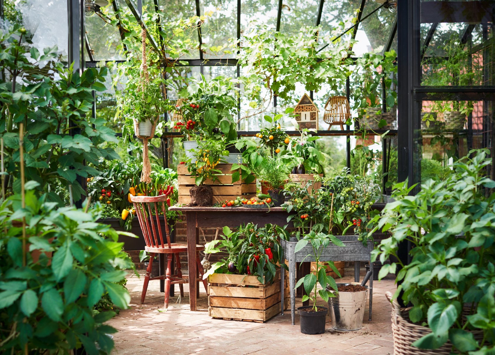 Potteplante Salgsbutikk 7 Potteplante Salgsbutikk -Potteplante Salgsbutikk 279089284 10159063467010847 2542700882440272114 n