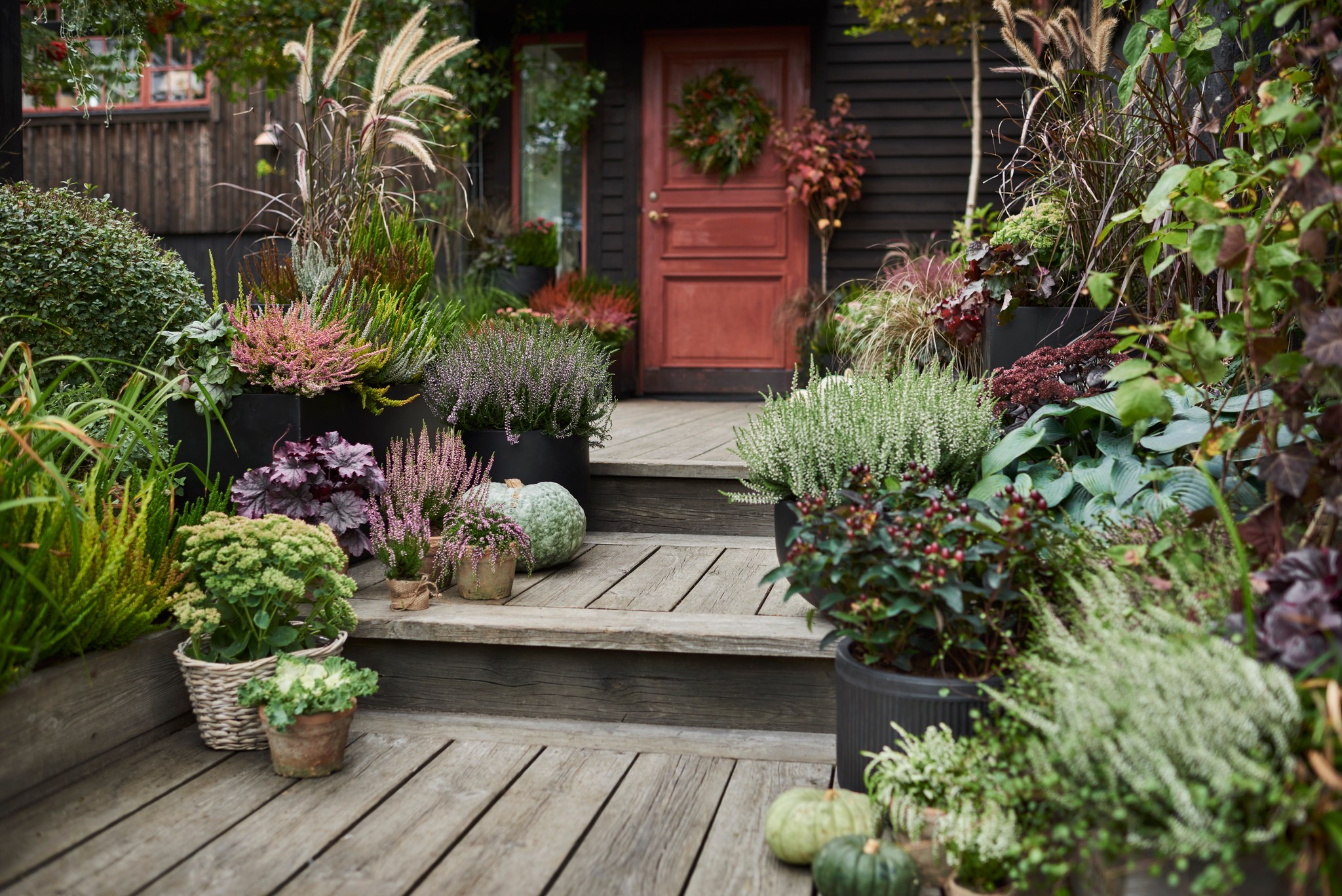 Potteplante Salgsbutikk 6 Potteplante Salgsbutikk -Potteplante Salgsbutikk 306153022 10159298361615847 506270872450323655 n