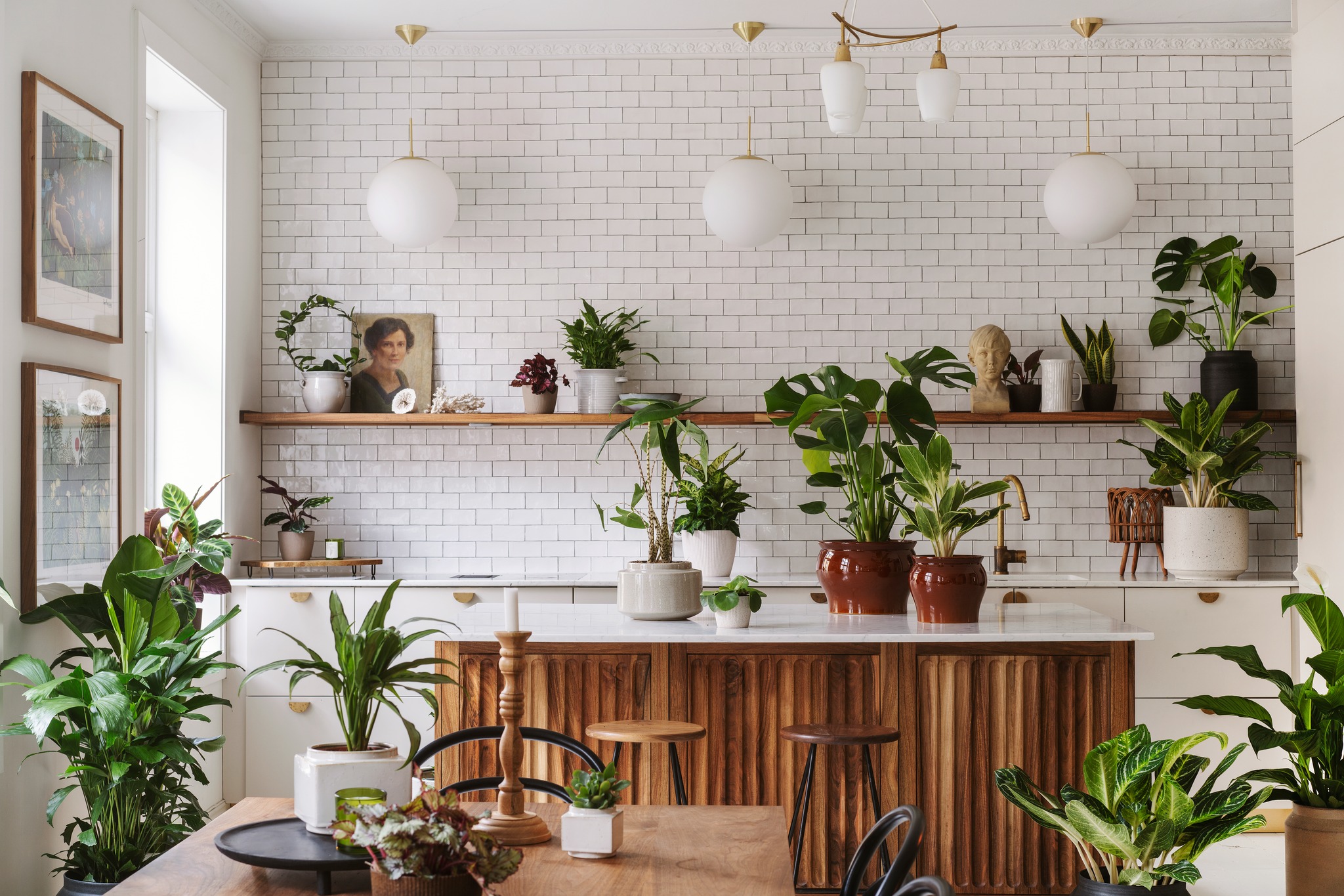 Potteplante Salgsbutikk 5 Potteplante Salgsbutikk -Potteplante Salgsbutikk 332303913 3302615073322556 2576884918594446385 n